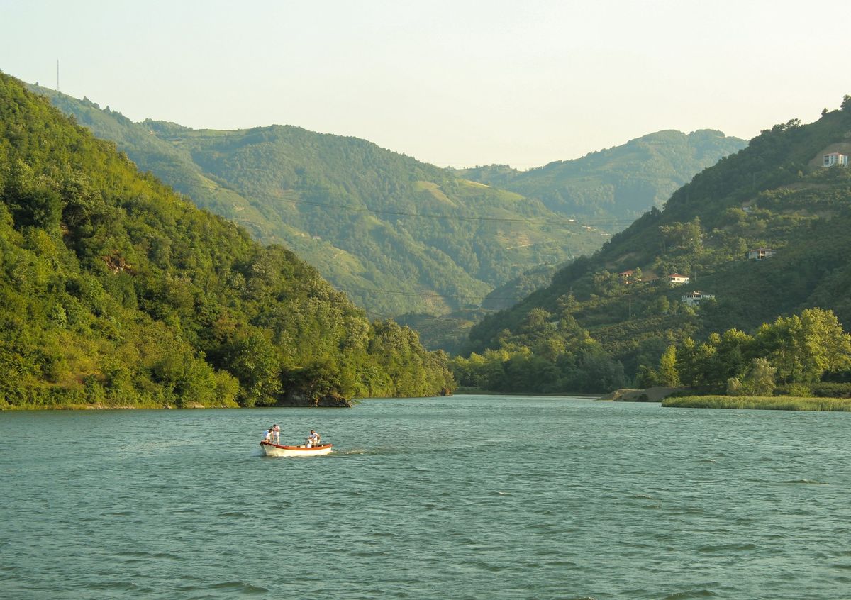 Banner-Image